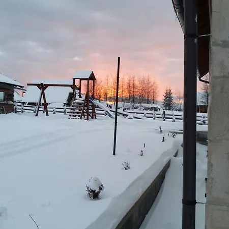 Nikol Dağ evi *